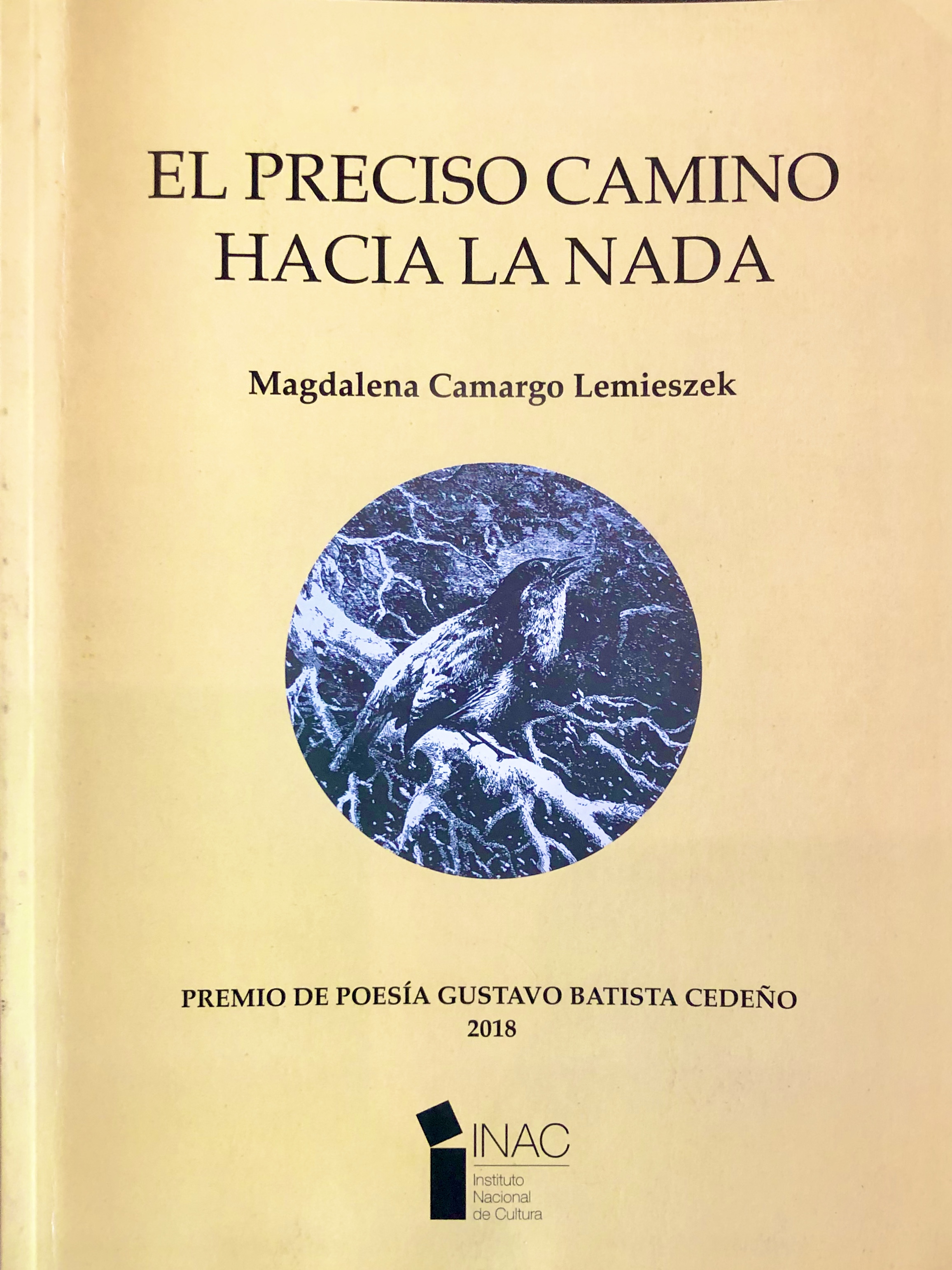 El preciso camino hacia la nada