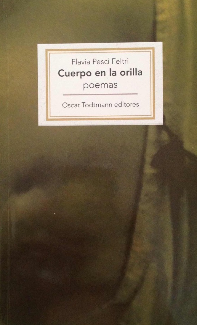 Cuerpo en la orilla