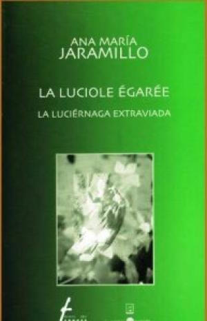 La luciérnaga extraviada
