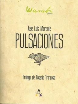 Pulsaciones