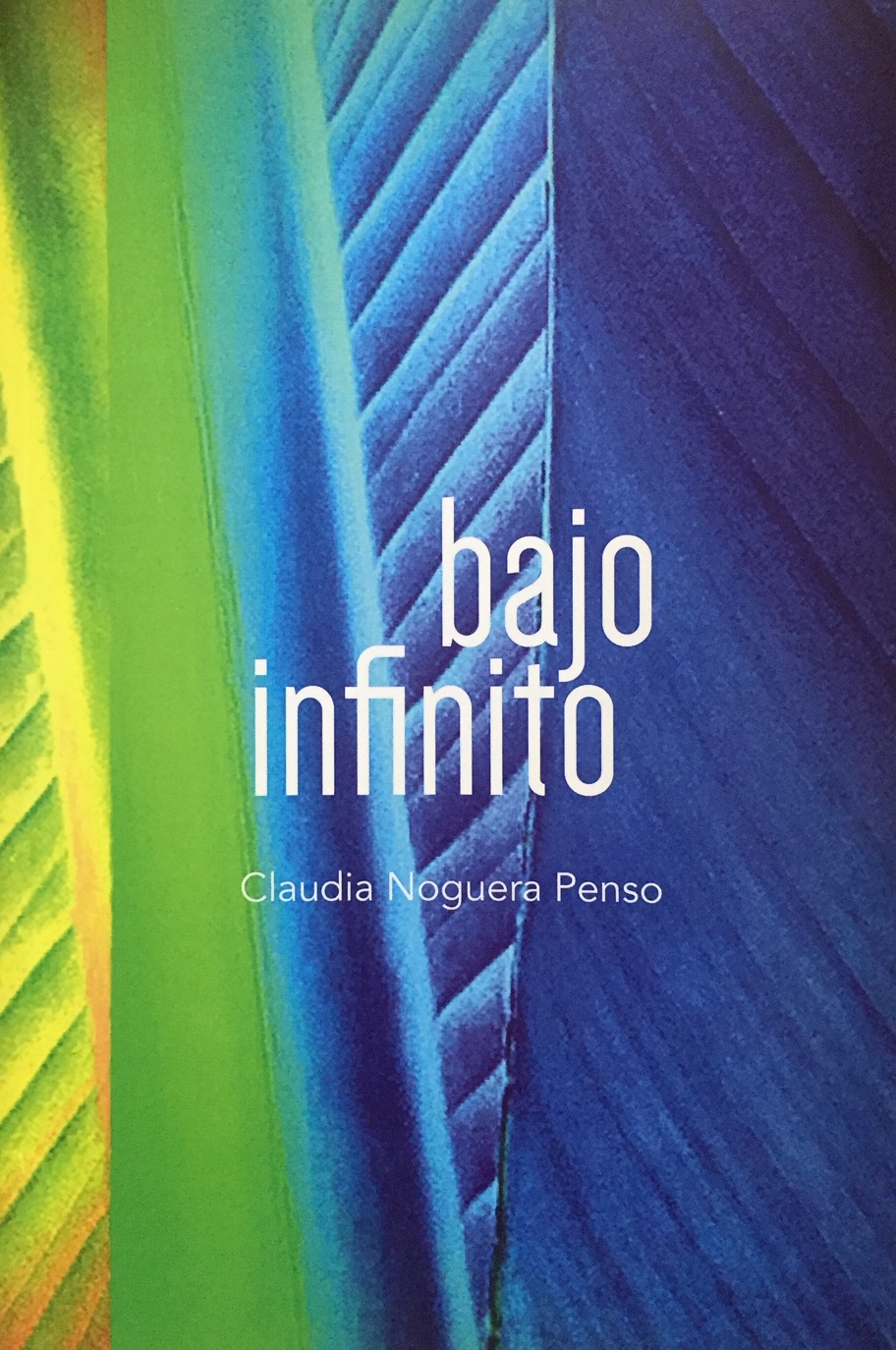 Bajo infinito