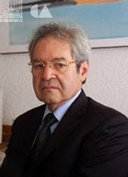 Pozas Horcasitas Ricardo