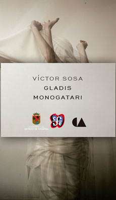 Gladis Monogatari
