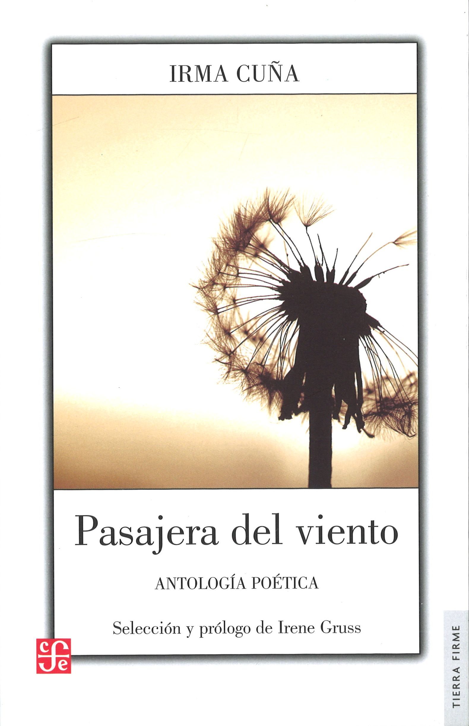 Pasajera del viento