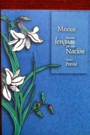 México: Diversas lenguas, una sola nación